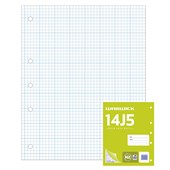 WARWICK 14J5 REFILL PAD 5MM QUAD W255 X L205MM 40 LEAF