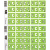 FILECORP CEZI ALPHA LABEL C 03FCHLALP 40 LABELS