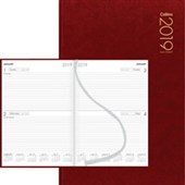 COLLINS DIARY A42 RED 2 DAYS PER PAGE ODD YEAR